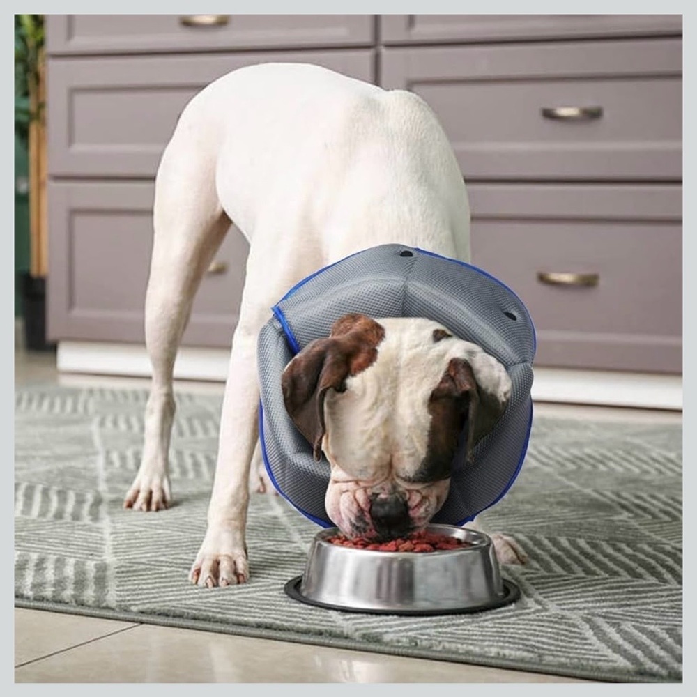 💙 AuraPaw Soft Recovery Cone – Size S – Adjustable, Breathable, Gentle for Pets - Picture 5 of 7